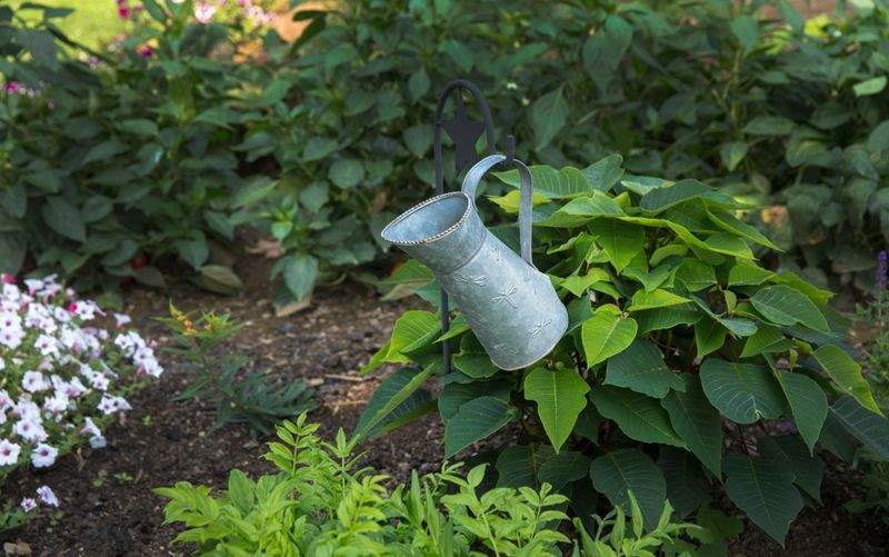小規模オフィスの植栽維持管理計画ワークフロー