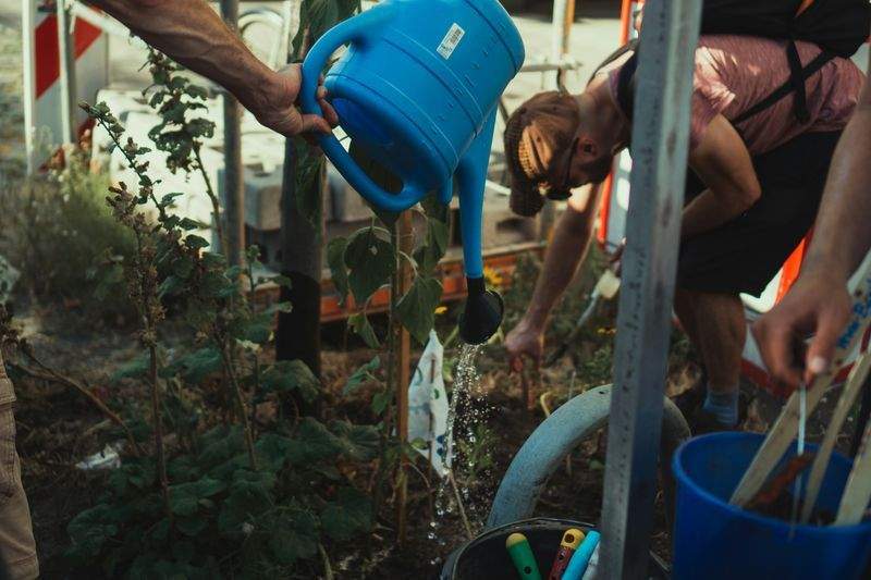観葉植物の設置・メンテナンス